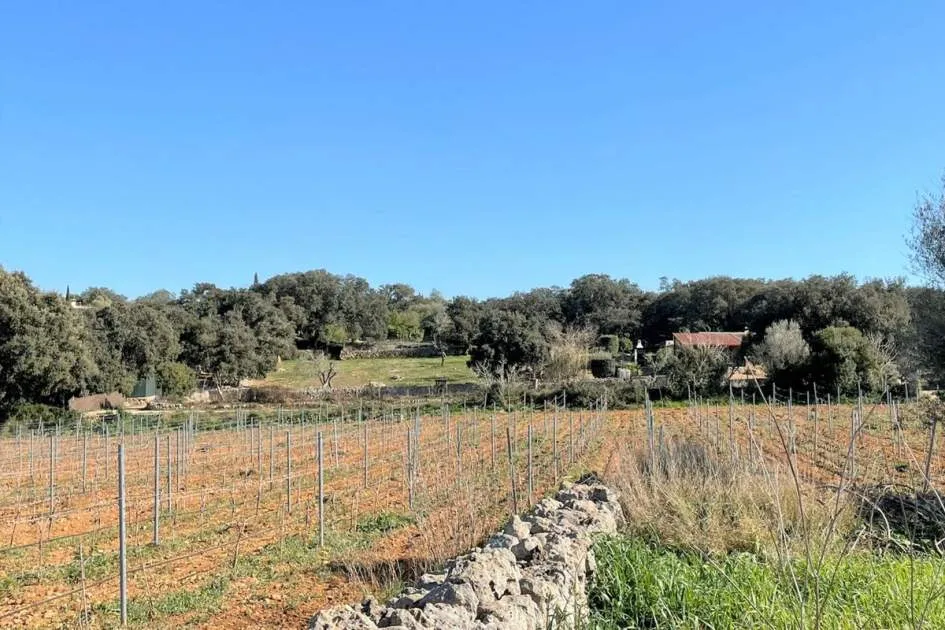 Spacious building land with dreamlike Finca project in Costitx