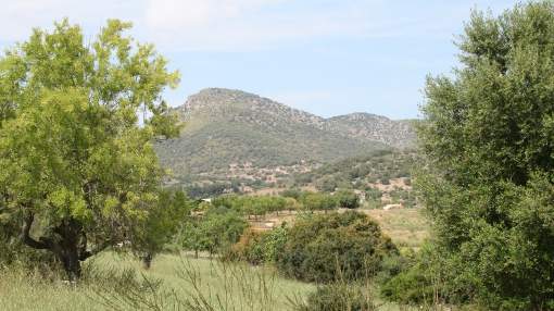 Plot of land with fantastic views of the surrounding landscape near San Lorenzo
Plot of land with fantastic views of the surrounding landscape near San Lorenzo