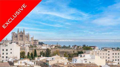 Bright apartment in Plaza Progreso
Bright apartment in Plaza Progreso