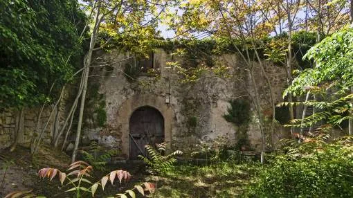 Historic country house to restore in Binissalem
Historic country house to restore in Binissalem