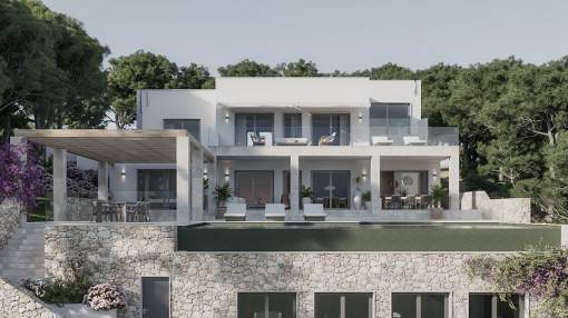 Seaview plot with project and license
Seaview plot with project and license