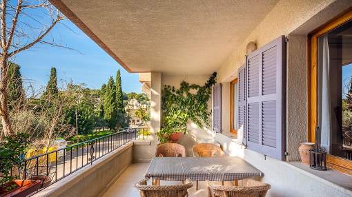 Lovely apartment in Port Sóller
Lovely apartment in Port Sóller