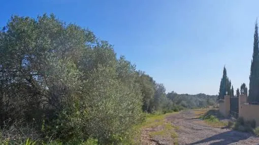 Plot with views to Palma near the golf course in Son Gual
Plot with views to Palma near the golf course in Son Gual