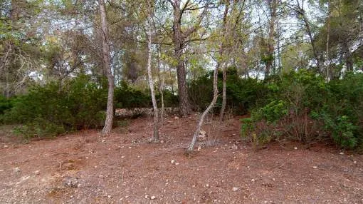 




Cala Vinyas Land 