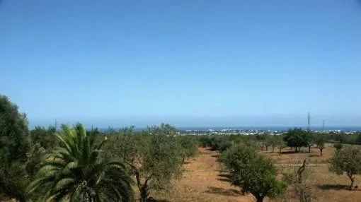 Country house plot on Majorca - close to a golf course Country house plot on Majorca - close to a golf course