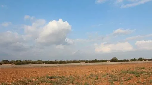 Three very well-located plots - ideal for keeping horses Three very well-located plots - ideal for keeping horses