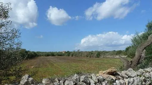 Land with more than 25 000 sqm - fenced with stone wall Land with more than 25 000 sqm - fenced with stone wall