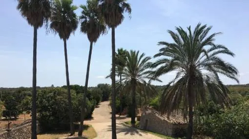 Historic Majorcan manor near Palma Historic Majorcan manor near Palma