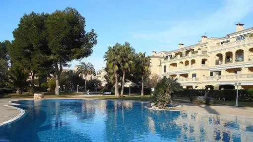 Very well maintained flat in a sought after location Very well maintained flat in a sought after location