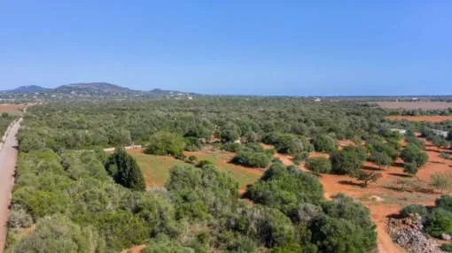 Spectacular building plot near Santanyi Spectacular building plot near Santanyi
