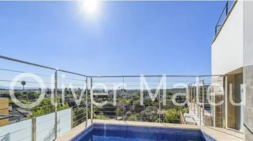 
                    PENTHOUSE FLAT WITH TERRACE AND OWN PRIVATE POOL IN ESTABLIMENTS
                