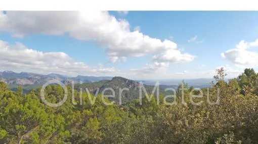 HOUSE WITH PANORAMIC VIEWS IN "ES VERGER
HOUSE WITH PANORAMIC VIEWS IN "ES VERGER