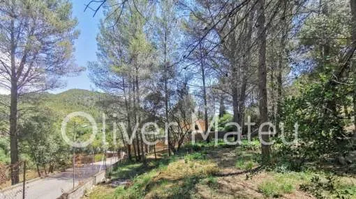
                    BUILDING PLOT FOR SALE IN PUIGPUNYENT
                