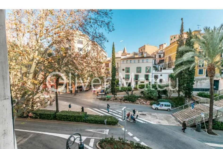 
                    FLAT WITH LIFT IN RAMBLAS -TEATRO PRINCIPAL
                