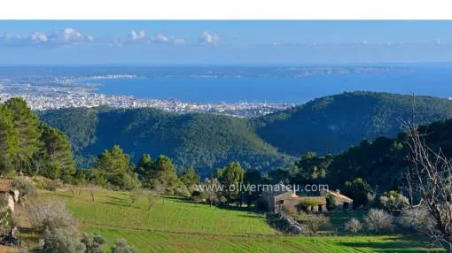 MAGNIFICENT XVIII CENTURY FINCA IN SERRA DE TRAMONTANA WITH HOLIDAY RENTAL LICENSE
MAGNIFICENT XVIII CENTURY FINCA IN SERRA DE TRAMONTANA WITH HOLIDAY RENTAL LICENSE