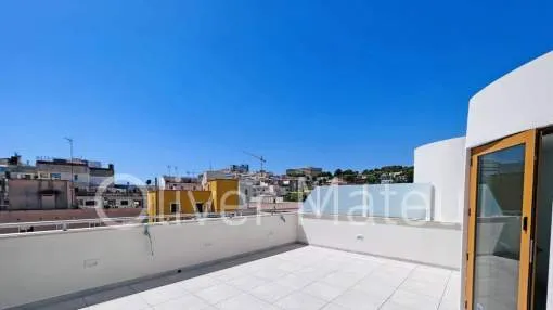 
                    BRAND NEW PENTHOUSE WITH PRIVATE ROOF TOP TERRACE
                