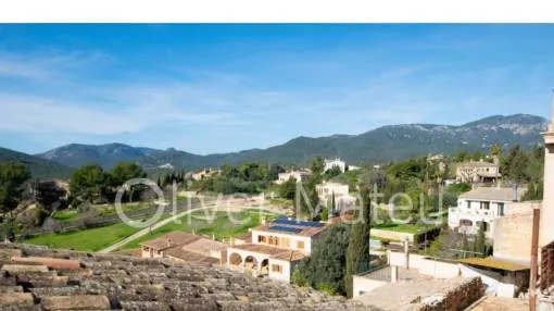 TYPICAL MALLORCAN VILLAGE HOUSE IN ESTABLIMENTS
TYPICAL MALLORCAN VILLAGE HOUSE IN ESTABLIMENTS