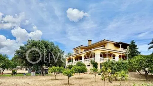 VILLA ON 7,400M² PLOT IN SA CABANETA
VILLA ON 7,400M² PLOT IN SA CABANETA