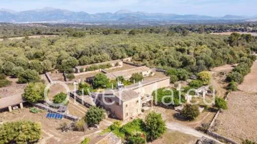 COUNTRY ESTATE IN LLORET DE VISTALEGRE
COUNTRY ESTATE IN LLORET DE VISTALEGRE