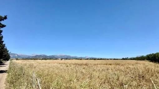 
                    Site for sale in Sencelles
                