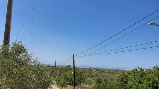 Building Plot in Sa Cabaneta area