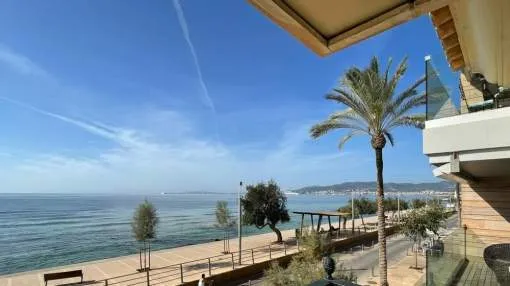 Fantastic apartment with sea views in Ciudad Jardin Fantastic apartment with sea views in Ciudad Jardin