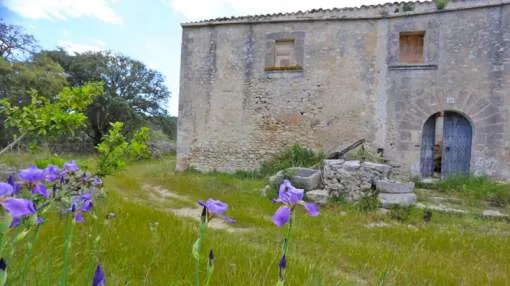 Plot with antique structure in Algaida