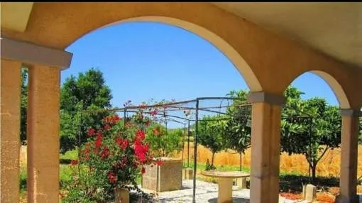 Sunny finca in San Juan in the center of Mallorca Sunny finca in San Juan in the center of Mallorca