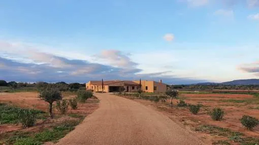 Spectacular finca in Santanyí Spectacular finca in Santanyí