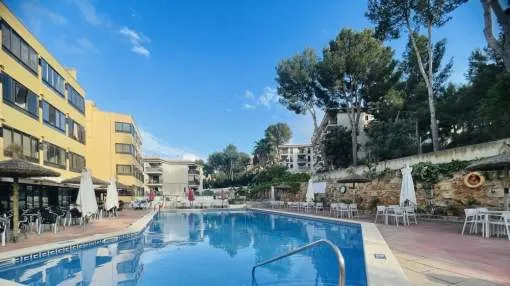 Bright studio apartment in Santa Ponsa