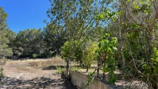 Building plot in a privileged are in Santa Ponsa