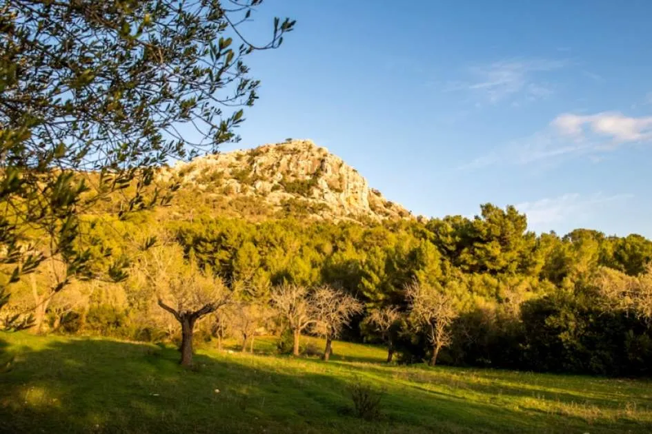 Charming finca with fantastic panoramic view in Llucmayor