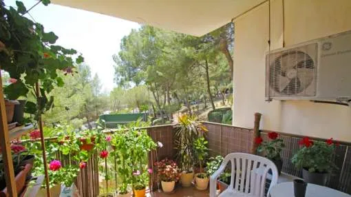 Well-maintained apartment in Santa Ponsa