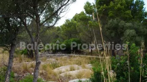 Plot for sale in Valldemossa, Mallorca