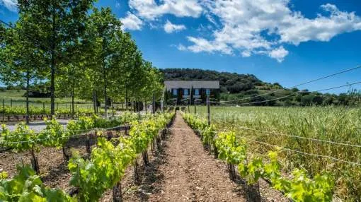 Outstanding country villa for sale in Sant Llorenç de Cardassar, Mallorca