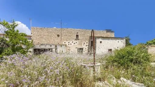 Large rustic plot for sale, walking distance from the village of Campanet, Mallorca