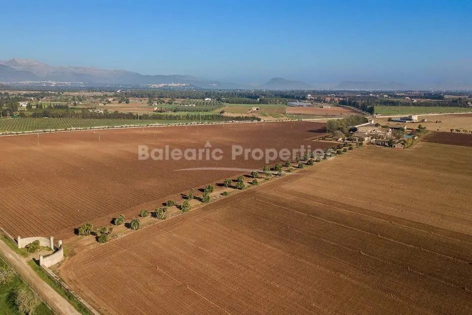 Enormous Mallorca country property with investment potential for sale in Llubí, Mallorca
