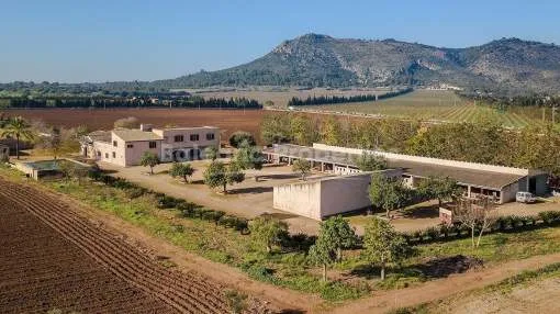 Enormous Mallorca country property with investment potential for sale in Llubí, Mallorca Enormous Mallorca country property with investment potential for sale in Llubí, Mallorca