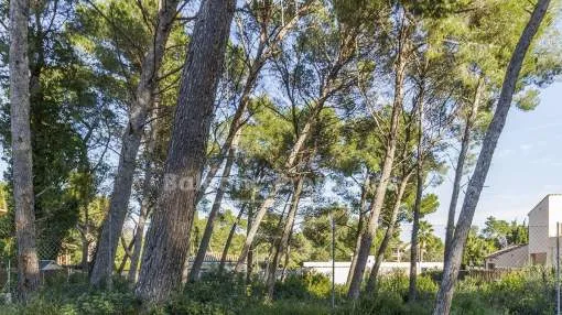 Residential plot for sale close to the beaches in Puerto Pollensa, Mallorca