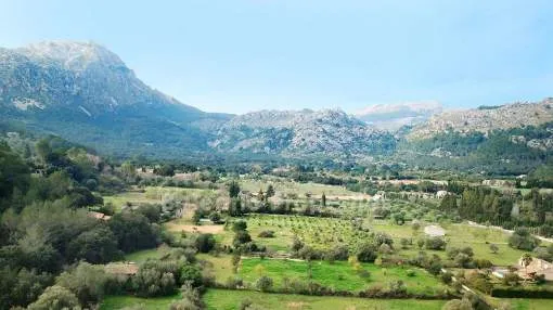 Rustic finca in need of renovation for sale near Pollensa, Mallorca