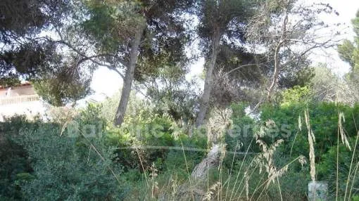 Frontline plot for sale in Cala d'Or, Mallorca