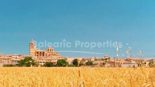 Wonderful villa with pool surrounded by nature in Sineu, Mallorca Centre Wonderful villa with pool surrounded by nature in Sineu, Mallorca Centre