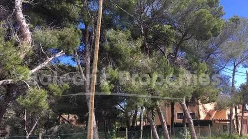 Exclusive building plot in Santa Ponsa, Mallorca