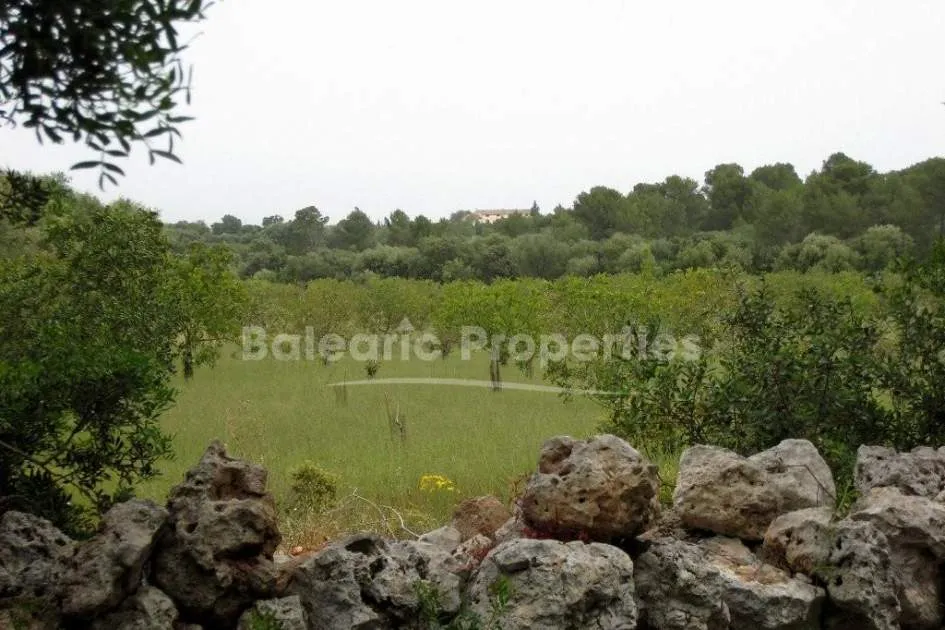 Spacious finca with lots of privacy for sale, close to Palma, Mallorca