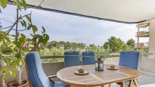 Spacious apartment near amenities, for sale in Portals, Mallorca Spacious apartment near amenities, for sale in Portals, Mallorca