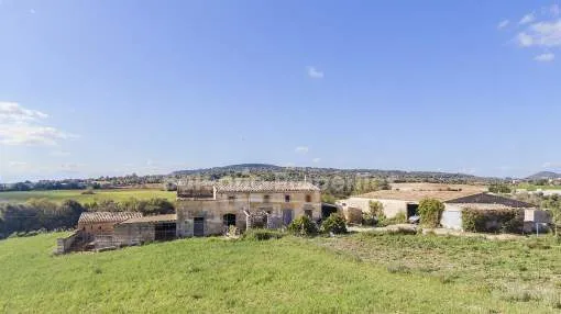 Building plots for two luxury fincas for sale in Manacor, Mallorca 