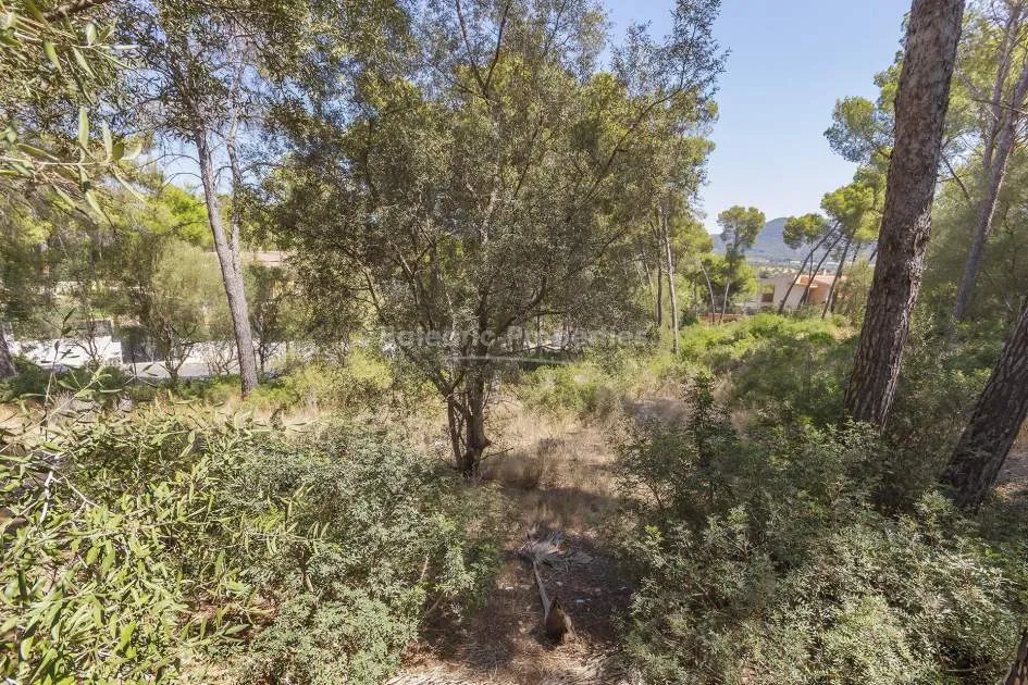Desirable residential plot with project for sale close to Santa Ponsa, Mallorca 
