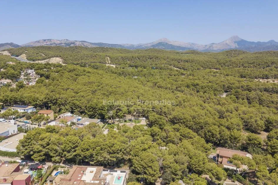Peaceful plot with project for sale in Santa Ponsa, Mallorca 