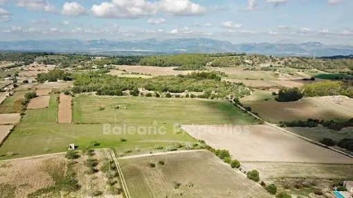 Peaceful rural building plot with panoramic views for sale in Sineu, Mallorca