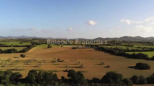 Finca project with vineyard for sale in the countryside of Manacor, Mallorca